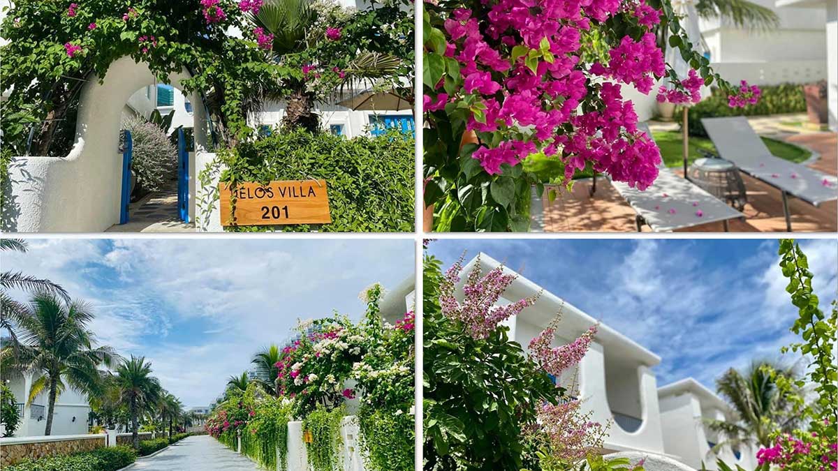 Cam Ranh Bay Hotels & Resorts