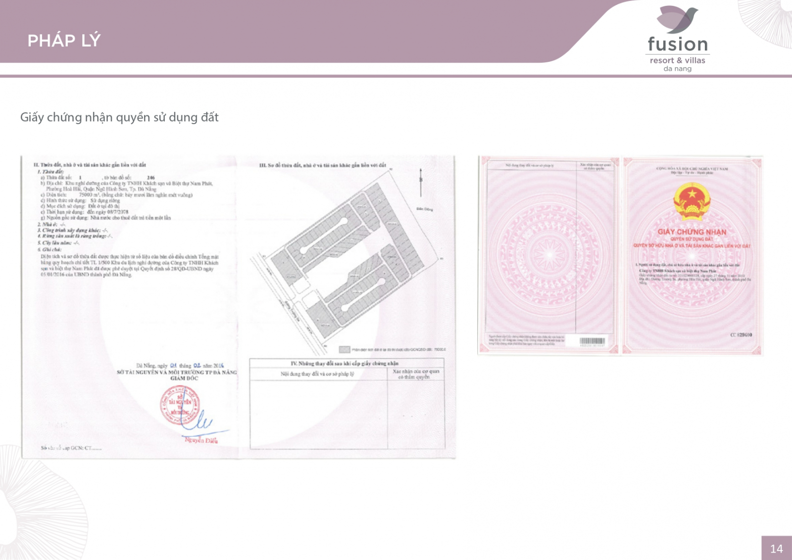 Pháp lý Fusion Đà Nẵng