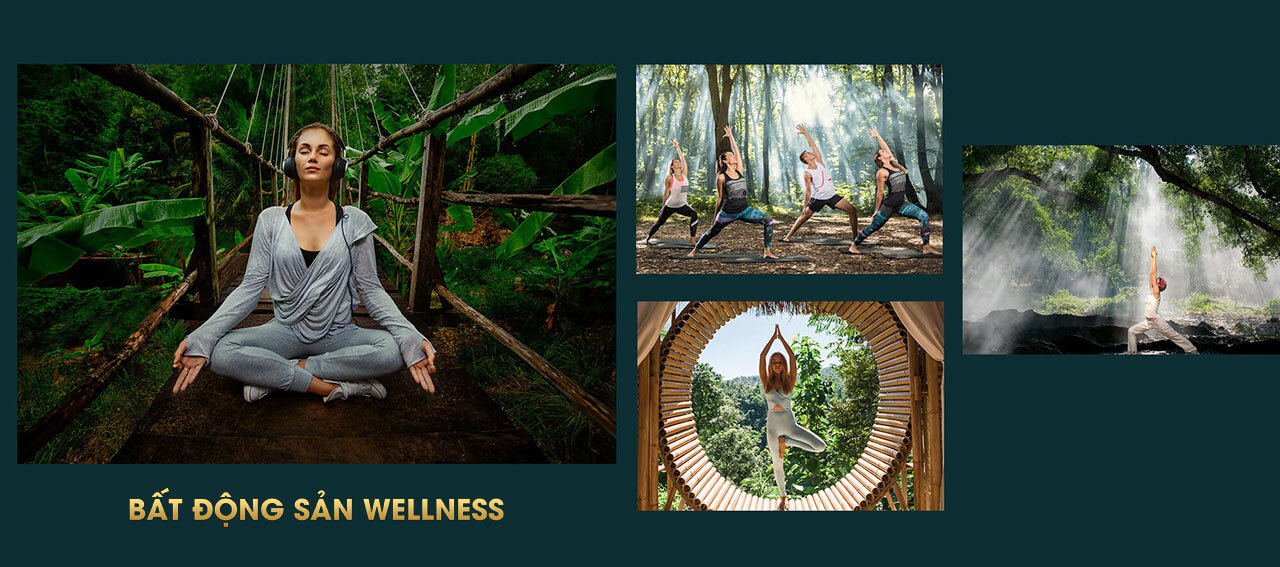 Bất động sản Wellness lãnh địa đáng khao khát của giới thượng lưu