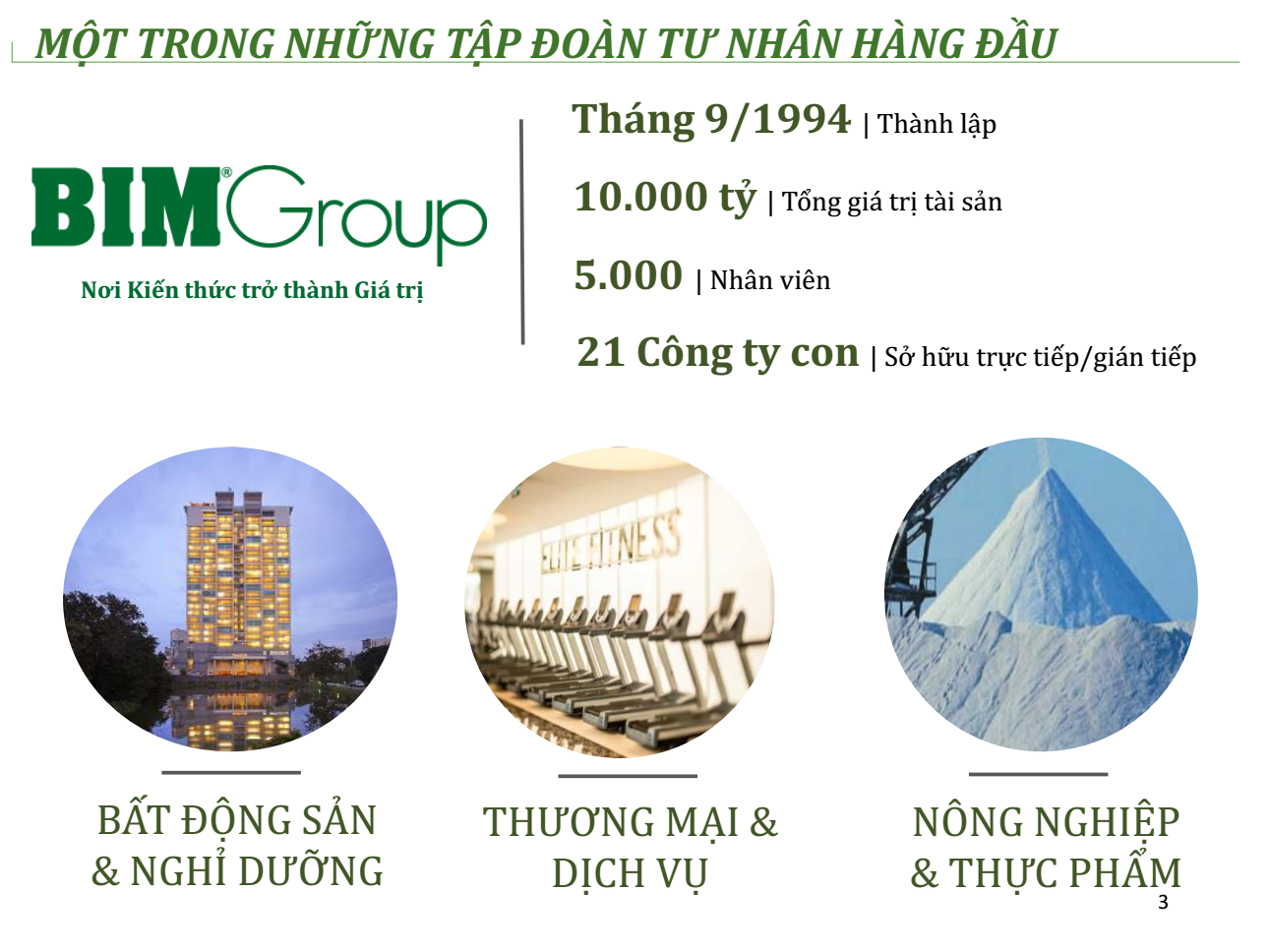 Tập đoàn BIM Group
